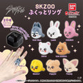 Stray Kids Dominate World Tour SKZOO Rings