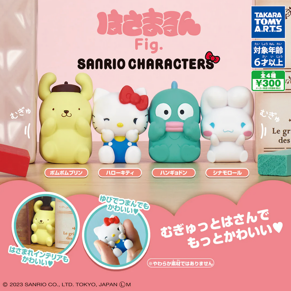 Sanrio Mystery Pack