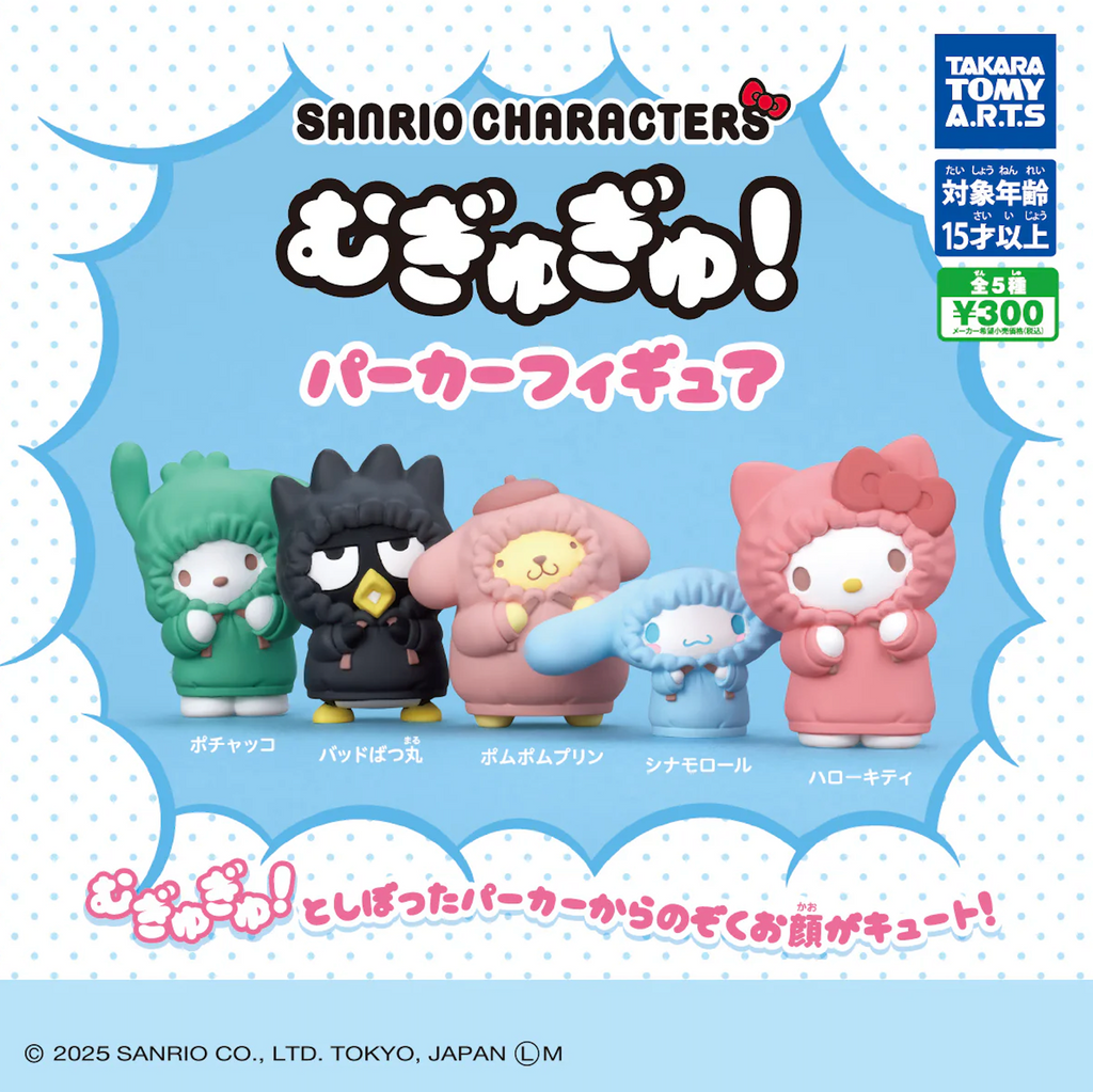 Sanrio Mystery Pack