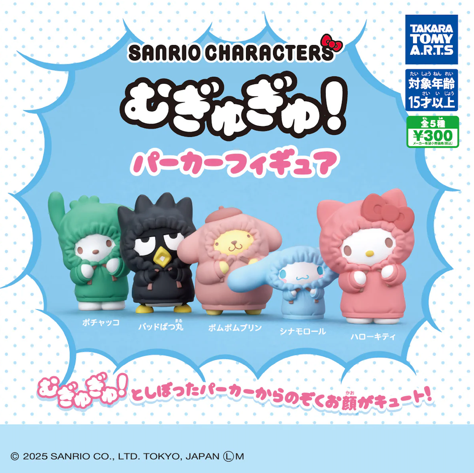 Sanrio Mystery Pack